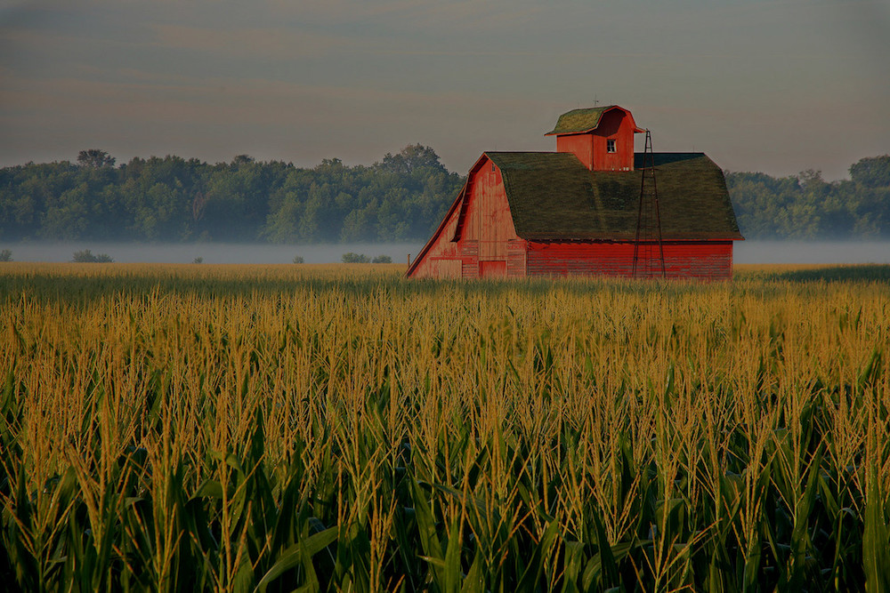 farm and crop insurance Hartford AL