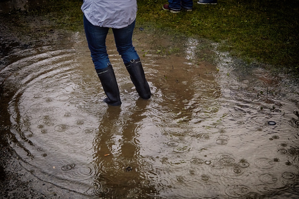 flood insurance Hartford AL